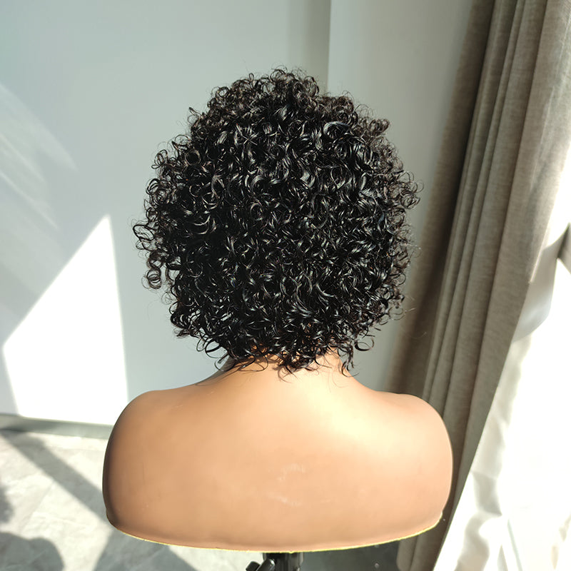 Elle Vane Short Curly Pixie Haircut 13*4 Lace Front Wig