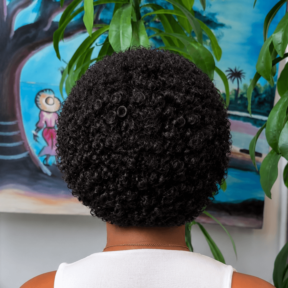 Short Curly Afro Wig 13x4 Lace Frontal Natural Black Human Hair