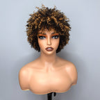 Elle Vane Afro Kinky Curly Bob Glueless Wig with Bangs