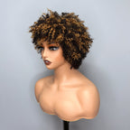 Elle Vane Afro Kinky Curly Bob Glueless Wig with Bangs