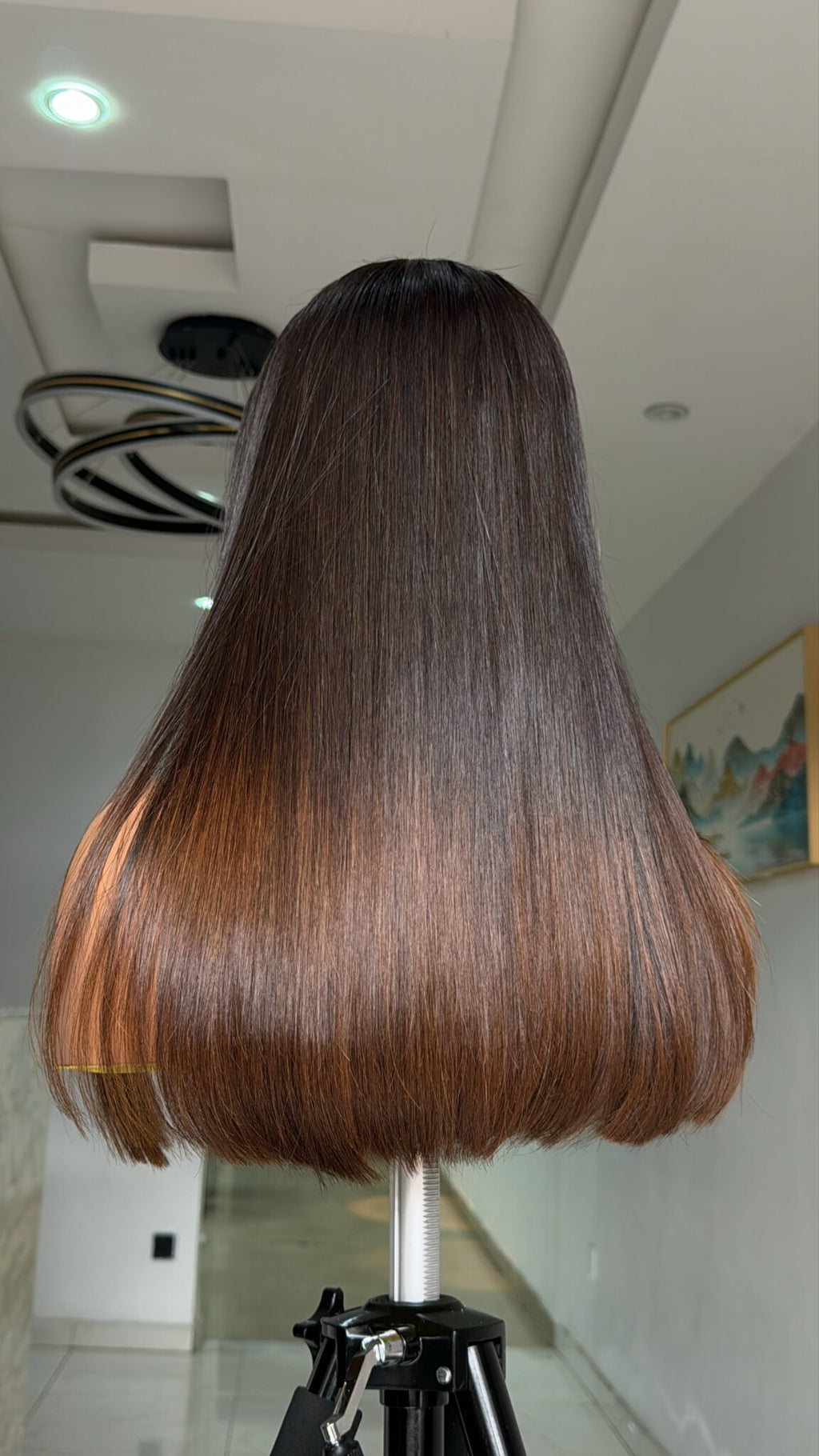 Elle Vane Chocolate Ombre Layered Cutting Bangs Wig